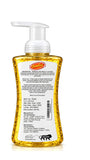 Shinelay Foaming Hand Wash - 10X Better Cleaning Hand Wash for Effective Hand Hygiene - 2 x 250 ML