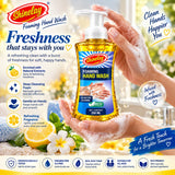 Shinelay Foaming Hand Wash - 10X Better Cleaning Hand Wash for Effective Hand Hygiene - 250 ML