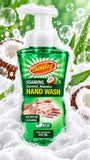 Shinelay Foaming Coconut & Aloevera Hand Wash - 10X Better Cleaning Hand Wash for Effective Hand Hygiene - 250 ML